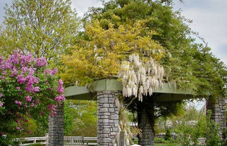 University of Kentucky Arboretum, United States